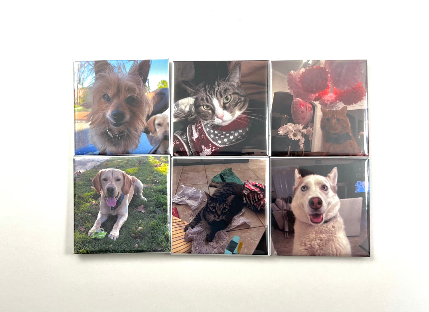 Custom Square Magnets (set of 6)