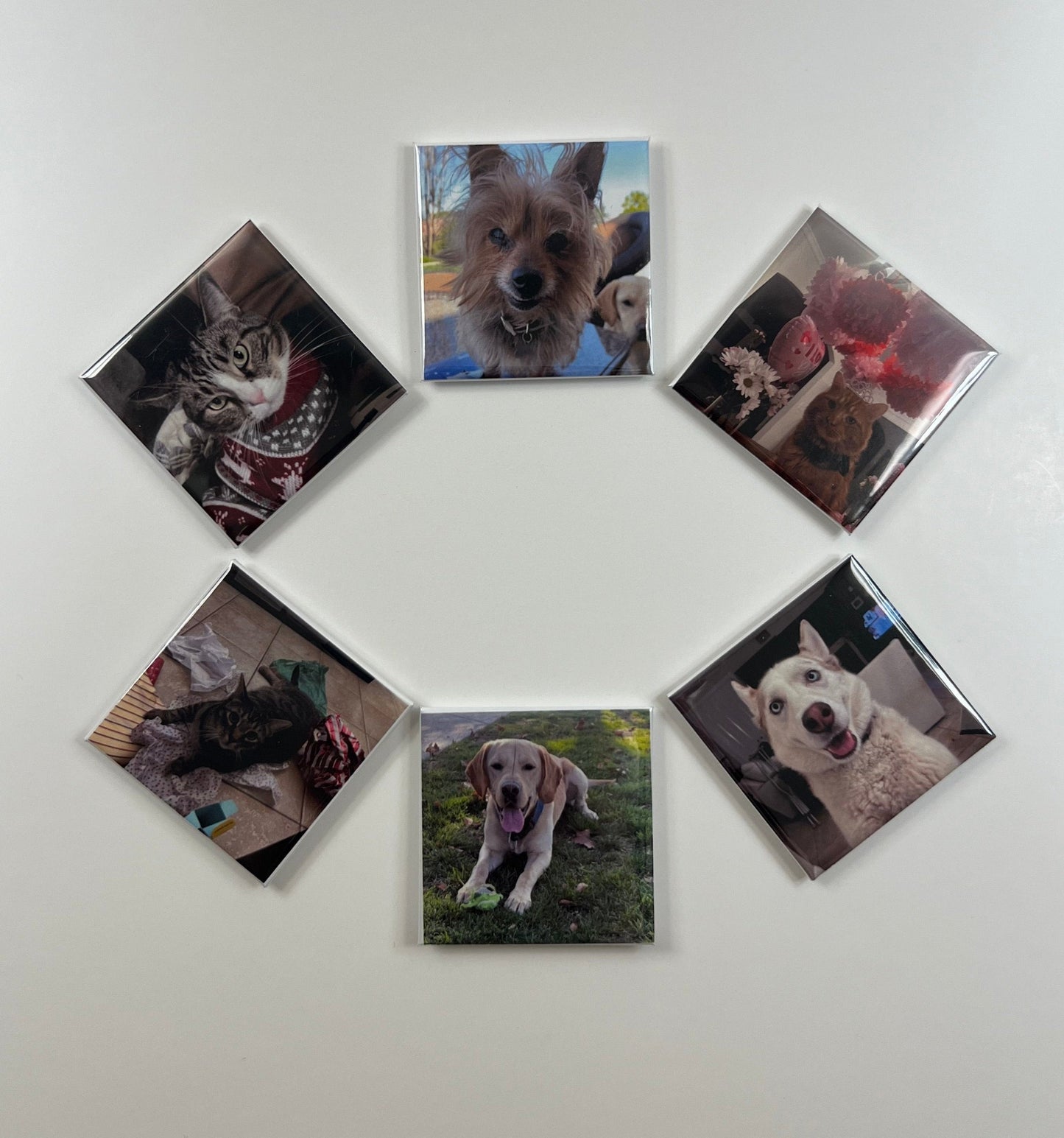 Custom Square Magnets (set of 6)